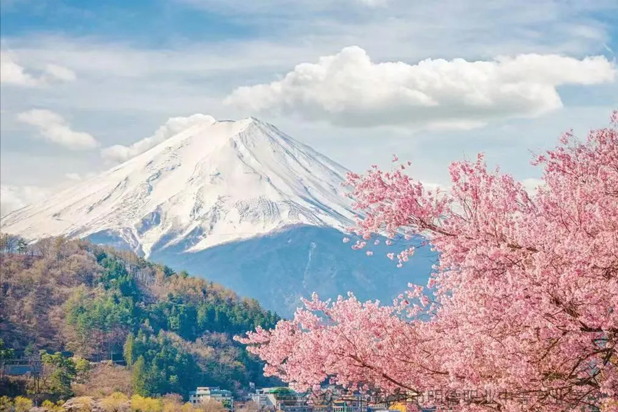 威海市明德职专招生季|国际部：商务日语